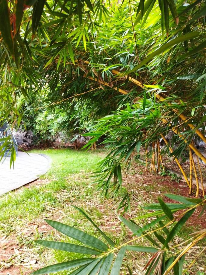 Rockdale Resort Nilambūr Dış mekan fotoğraf